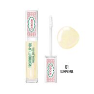 ES Масло для губ Treatment lip oil 01